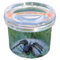 Баночка для изучения насекомых GeoSafari® Jr. Bug Viewer